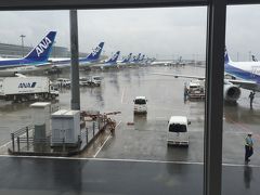 気乗りしない社員旅行 東京 ～1日目～