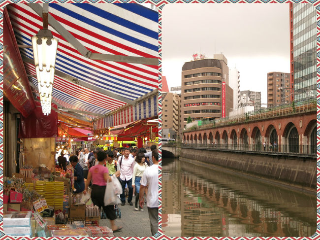 ６月最後の週末・・・連れ合いの半年に一度の眼科定期通院のため、御茶ノ水へ・・・。<br /><br />そのついで・・・病院に行く前と診察後・・・限られた数時間・・・特にどこに行こうと計画していたわけではない。<br /><br />たまたま目に留まったり、気になった方へ行ってみよう・・・とブラブラしてみたら、たまたま２ヶ所のガード下を訪れる結果になった。<br /><br />そもそも・・・がっつりした豆大福を買いたい！という理由で上野に降り立ったのだが・・・全く正反対の雰囲気のガード下２ヶ所を楽しんで・・・思いの外、面白くて・・・そして東京再発見！の時間となった。<br /><br />