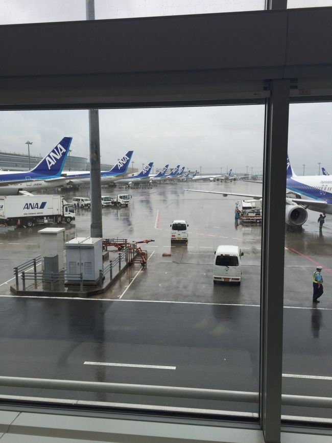 団体旅行は得意じゃありません。参加資格を放棄して不参加の選択もありましたが後輩に誘われ参加することにしました。どうなることやら。<br /><br />1日目<br />小松(07:45)→羽田(08:55)ANA752便<br />みんなではとバスに乗って東京観光<br />銀座キャピタルホテル新館に宿泊<br />2日目<br />空港集合までフリータイム<br />羽田(19:50)→羽田(20:50)ANA759便<br />☆あまり中身のないツアーですが逆に好都合です。飲みまくるぞー!