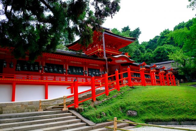 第六十次式年造替記念により二十年に一度に限り<br />普段足を踏み入れられない「一位の橋」渡り国宝御本殿を<br />間近で参拝しました。御本殿「磐座」、「後殿」<br />禁足地「御蓋山浮雲峰遥拝所」特別参拝<br />夫婦大国社、金龍神社参拝後新薬師寺へお目当ての<br />十二神将立像をじっくり鑑賞…迫力満点。<br />昼食後、東大寺へ…先ほどの静けさは?<br />大仏殿は修学旅行や海外からの方で…。<br />大仏殿、二月堂、三月堂(法華堂)、四月堂で御朱印を頂きました。