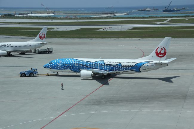 ジンベイザメジェットが見えたり、航空機ファンになりそうです。<br /><br /><br />===旅行の概要===<br />2015年のGWは沖縄に行ってきました。<br /><br />5/1 午後休を取って15:50羽田発の飛行機で沖縄へ。沖縄在住の友達と20年ぶりの再会&ディナー<br />5/2 レンタカーで本島北部へ。美ら海水族館へ<br />5/3 レンタカーで今帰仁城跡、古宇利島、屋我地島をドライブ<br />5/4 レンタカーでブセナ海中公園、道の駅嘉手納、北谷を見て、那覇市へ。ホテルにチェックイン後、首里城見学。夜は国際通りで沖縄歌謡を聞きながらご飯をいただきました。<br />5/5 世界文化遺産 斎場御嶽(せーふぁうたき)、知念岬、沖縄平和祈念堂、沖縄県平和祈念資料館、ひめゆりの塔を見学。<br />5/6 午後の便で石垣島へ<br />5/7 8:30の船で波照間島へ。波照間島をレンタカーで観光。13:10の船で石垣島へ戻る。石垣港近くで八重山そばをいただいて、川平湾へドライブ。<br />5/8 石垣島一周ドライブ<br />5/9 11:10の飛行機で那覇へ。乗り換え時間に国際通りを散策。16:45の飛行機で東京へ帰京。