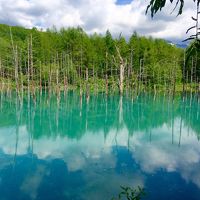 初夏の北海道・美瑛  パッチワークの丘、青の池 他