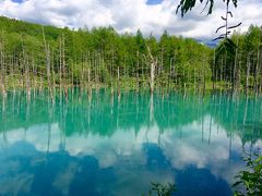 初夏の北海道・美瑛  パッチワークの丘、青の池 他