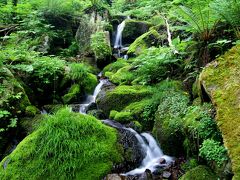 ◆裏磐梯・幽谷の白霧の滝＆苔沢