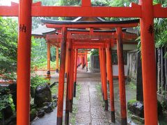 梅雨の街歩き　根津神社とパンダの誕生日