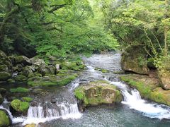 清流菊地渓谷とホタル観賞★