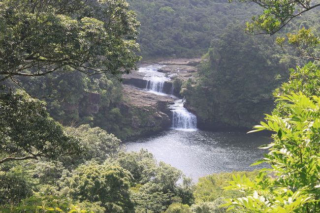 沖縄には何度も行きましたが、夏に行ったことがなかったので、梅雨明けした八重山に出かけてきました。<br /> 今回は、還暦と結婚35周年祝いということもあり、普段は利用しないリゾートホテルでタイトル通りまったりと過ごしてきました。<br /> 今回のスケジュールは、<br /> 6月25日(木):関空から那覇経由、石垣に行き、竹富島観光後石垣島のANAインターコンチネンタルホテルに宿泊<br /> 6月26日(金):レンタカーで石垣島観光後、西表島に行き星野リゾート西表島に宿泊<br /> 6月27日(土):西表島 マリュドゥ・カンピレー滝見学後午後からイダの浜で海水浴(星野リゾート連泊)<br /> 6月28日(日):西表島をレンタカーで観光(由布島など)後、小浜島へ移動し星野リゾート(リゾナーレ小浜島)宿泊<br /> 6月29日(月) :小浜島観光(リゾナーレ小浜島連泊)<br /> 6月30日(火):小浜島から石垣島に戻り、那覇空港経由関空に移動し、帰宅<br /> 今回は、旅行3日目の西表島観光を紹介します。<br />西表島は1回目のお米の稲刈りがもう終わっていました。<br /> 八重山は、例年より大幅に早く梅雨明けし、最低気温が30℃、最高気温が34℃と天気には恵まれましたが、暑さにはまいりました。<br />でも楽しい旅行になりました。