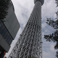 久しぶりのソウル旅行のはずが・・・東京観光２日目