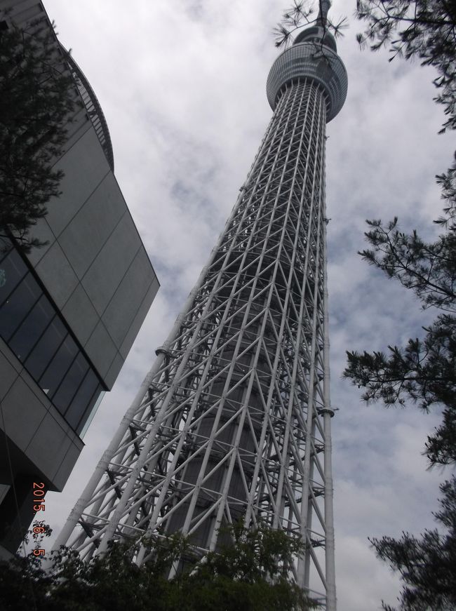 マーズコロナウイルス流行で断念したソウル旅行代替えの東京旅行２日目<br /><br />不完全燃焼のままの２日目を迎えました<br /><br />今日は「東京スカイツリー」<br />　　　<br />　　　　「新大久保で韓国気分を味わう」<br />　　　　<br />　　　　「原宿から表参道散策」<br /><br />　　　　「アメ横横丁」<br /><br />の予定で行動開始です<br />