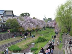 2015年4月12日：武蔵野の森探訪　春の賑わいの武蔵野公園