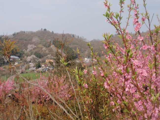 福島総鎮守と、春花の時期に花見山公園を散策した。<br /><br />