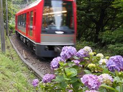 箱根登山鉄道 あじさい電車～アレグラ号は、製薬会社のネーミングライツ？