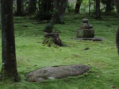 奈良　秋篠寺　苔を見る１　梅雨には梅雨の楽しみ方がある