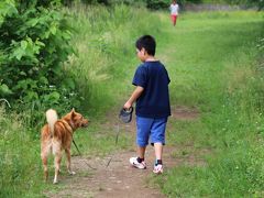 2015年5月24日：野川西之橋　番外編　甥っ子による野川西之橋探訪