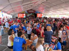 女子サッカーW杯2015 なでしこジャパン応援（4/全4）： 決勝戦 対アメリカ （FIFAファン・ゾーン）