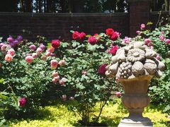 不思議スポット七ッ洞公園 バラシーズンの秘密の花苑