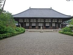奈良　唐招提寺　苔を見る２　梅雨には梅雨の楽しみ方がある