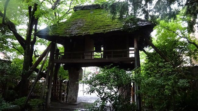 梅雨の最中、京都行としました。主目的は山端平八茶屋の「釜風呂」と懐石料理。梅雨と暑い夏を爽やかな香りで乗り切ろうと「山田松香木店」に香りを求め、日常使いの乾燥湯波を「湯波半」で求めようとする今回の京都行、イノダのコーヒーでも入れば完璧だったが、雨中故諦めました。<br /> 天平年間に京都と福井を結ぶ鯖街道の京都側の起点に開店した「平八茶屋」は創業430年。関ヶ原の合戦前には、既に開店していた。私の通う古からのお店としては吉野の弥助寿司に次ぐ、因みにこちらは創業800年です。<br /> 騎牛門と云うアンチークな門をくぐり庭に入ると、正面が団体客用の二階建ての部屋、右には例のかま風呂がある。近年男女別に風呂が追加されるまでは、一客のみの貸し切りであった。その風呂の前を奥に進むと600坪の庭園の小川と高野川に挟まれるように小部屋が並びます。我々も、その一つ「つつじ」の間に。<br /> 手軽な昼懐石と云っても、懐石の習いは全てまとめ上げられていて、前菜から麦とろ御飯まで一切手を抜かないのが京料理を代表する21代と22代の伝統を引き継ぐ親子料理長。よくテレビでも拝見する。季節ものの鱧も何種類か出ていたが、この期は鮎。強火の遠火で時間をかけて焼かれた小ぶりの鮎は頭まで戴ける、若女将が嬉しそうに「完食ですね・・」と皿を下げられた。<br /> かま風呂は、赤土で作られたドームの中に筵を敷いた上に寝転ぶ。枕は陶器製で、冷やっとして気持ちが良い。サウナほど暑くなく床全体から温もるので、腰の痛みなど直ぐに治る。暑いと感じたら、隣に更湯があるので汗を流す。何回か繰り返す様を、床にはめられたガラス越しに鯉が下から眺めているのに気づく。何とも贅沢な設えだ。<br /> 大凡二時間半、すっかり癒やされて鯖街道を市内へと向かう。御所の西、室町通り下立売り下ル勘解由小路町の「山田松香木店」にて匂い袋の交換用品と香木、線香を買う。ここの店主は、NHKの正倉院展の解説番組で「香木」を熱く語っておられた。寛政年間創業ですから200年以上です。<br /> 香木店から御所の真南、麩屋町通りにあるのが「湯波半」。京湯波を作って300年近い。時間が時間だけに、おられたのは女将さんだけ。くみ上げて最後のそこに溜まったものを乾燥させたのを「甘湯波」と云いますが、素揚げにしても戻しても美味しい。甘湯波と、今宵の造り湯波を求めます。<br /> さて、本日足早に京の町で遊びました。創業430年から一番新しい店で200年以上という京都の伝統を受け継ぎ、引き継ごうとされている各お店には活気と暑い熱意を感じさせられる。そんな意気込みを自身へのエネルギーに戴いた様な気がする駆け足旅でした。