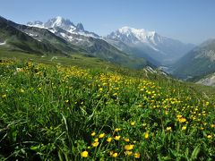 スイス花とハイキングの旅シャモニーバルム