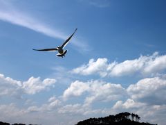 ２０１５年夏の東北旅行2日目、②岩手県宮古市「浄土が浜」の絶景を遊覧船で楽しみました。