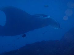 【69】旅行記27　(2)トランベン＆ヌサペニダ・ダイビング