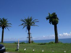 キャンプ道具を車に積んで日本列島半分の旅。10日間④(熊本阿蘇山.宮崎日南海岸・青島)