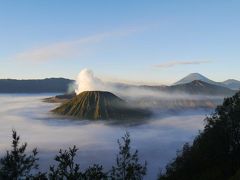 ジャワティーを飲みながら 5 ブロモ山へ行かないか？