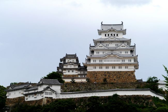 1325 大手前公園より姫路城へ．本当に白くなったねえ．今日は曇りなのでいまひとつだなあ．これが青い空ならすごく映えるだろう．<br />菱の門から多くの門を通り天守に．これだけ門があるとそのたびに待ち伏せされて攻めきれないだろうなあ．天守もむかしのまま．階段もきつい．武者隠し，石落とし，武具庫など昔の天守の雰囲気が残っていた．天守6階には神社．そういえば西洋の城にも中に教会があったね．<br />本当にこの城は世界遺産にふさわしい．<br />1418天守見学を終える．