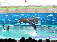 ><(((・>イルカのパフォマンス　フィナーレ　<・)))><”祝グランドオープン”仙台うみの杜水族館 ><(((・>＝⑤　宮城野区　仙台市