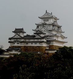 2015.6姫路・西脇出張旅行3-姫路城２　備前丸，西の丸，百間廊下