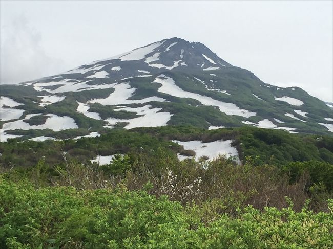 　猿倉温泉は鳥海山の麓，秋田県の鳥海町にあります．猿倉温泉と言うと青森県の方が有名ですが，少し離れたフォレスタ鳥海も含めて3軒程度の小さい温泉郷で，泉質はpH8.7と高い”美人の湯”です．鳥海荘の場合，残念ながら加温・加水していますが，露天風呂はかなり源泉に近く，肌がつるつるになります．室内には大浴場，圧注浴（かなり深い），サウナ，寝湯があり，日帰り入浴は300円くらいなので，十分楽しめます．食堂もラーメン450円など，とても安いです．電車だと鳥海山麓線矢島駅からタクシーかバスですが，かなりかかります．ほとんどの方が自動車を使っていると思います．<br />　車の場合には仁賀保から県道58号線（仁賀保−矢島線）を進み，途中から猿倉登山道に行く脇道を進むと，猿倉登山道の入り口，フォレスタ鳥海の脇を通って，猿倉温泉郷に行くことができます．道はかなり狭いですが，舗装されています．また，晴れていれば鳥海山を間近に見られるので，とても綺麗です．<br />　