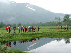 アヤメ平～尾瀬ヶ原～至仏山　　梅雨空山行