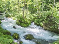 東北3県1泊2日ぐるり旅 ～奥入瀬渓流編～