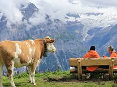 スイスアルプス 大自然と鉄道の旅　(11) フィルスト～バッハアルプゼー　たくさんの花と動物に出会えたハイキング