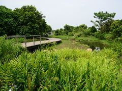 香港湿地公園へ行こう2★香港湿地公園でのんびり自然散策