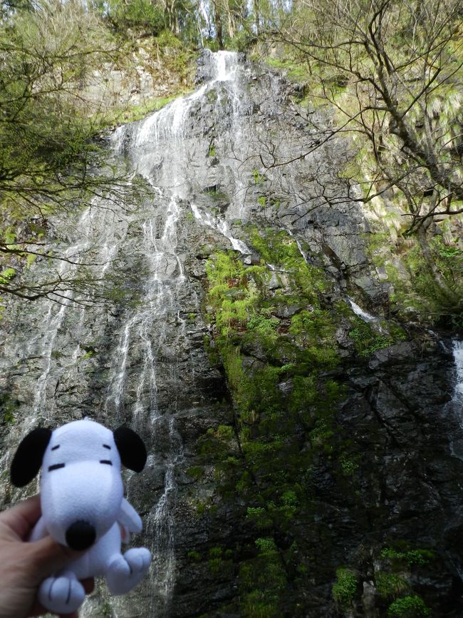 福井市内の滝２ヶ所を訪れた後、まだ帰るには少し時間が残っていたので、再訪にはなりますが日本の滝百選『龍双ヶ滝』に行くことにしました。<br /><br />※前回は2008年7月に訪れています→http://4travel.jp/travelogue/10257349