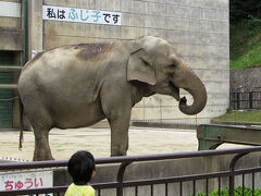 四国動物園巡礼？の旅《８/９》　岡崎市動物総合センター・Animoと帰り道