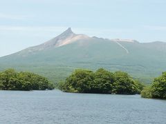 函館からの日帰りドライブ大沼公園、島を散策そして遊覧船♪