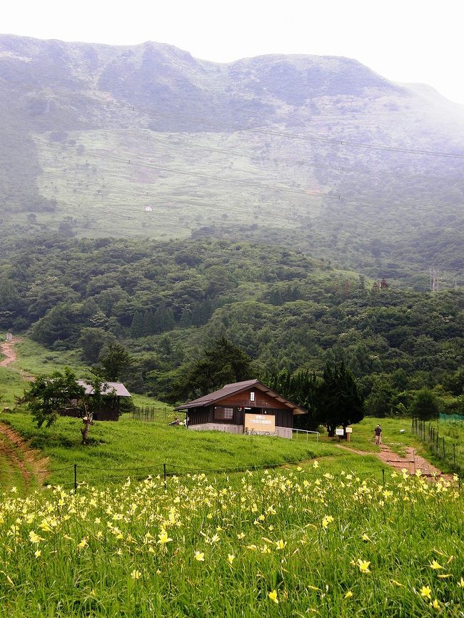 花の伊吹山・何時も頭の中にありながら、なかなか訪れる機会がなかったが登山仲間の所属する山の会のみなさんが伊吹山を計画していて、友人が同行したらと誘っていただき伊吹山登山が実現しました。<br />そして、今回は伊吹山登山だけに終わらず、４トラ仲間のrokoさんが中心になりみちるさん・koikeiさんを誘っていただき伊吹山でのオフ会が実現しました、山の会・オフ会を企画していただいたみなさんに感謝です。<br /><br />花の伊吹山登山と琵琶湖周辺の旅・・・<br />①一日目・伊吹山の懐へ<br />②二日目・二合目から山頂まで<br />③二日目・伊吹山山頂でオフ会・醒井宿のバイカモの花を見て琵琶湖畔へ<br />④三日目・北琵琶湖に浮かぶ神秘の島・竹生島へ・長浜で北国街道などを散策