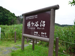 トンボが見たくなり桶ヶ谷沼へ 2015.07.12