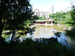 夏の小さな花が咲いていた檜町公園