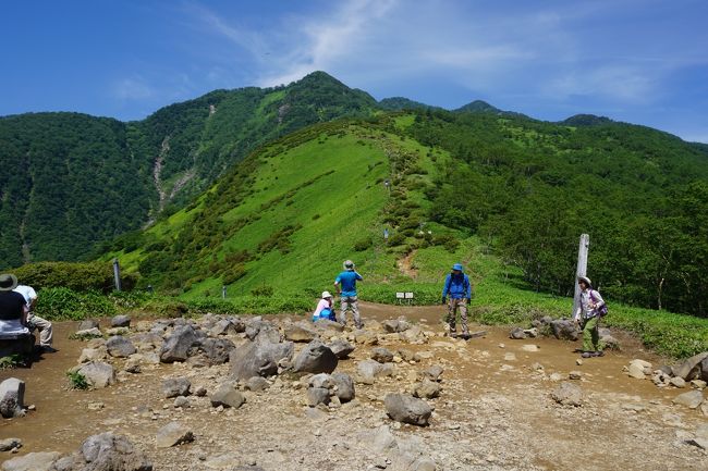 日光に行くなら、まずは二社一寺。その次が華厳の滝に中禅寺湖付近で、その後が竜頭の滝に湯滝とかの奥日光。霧降高原はどうしても優先順位が落ちるので、今回やっと初訪問です。リフトがあるはずだったんですが、今はもうない。木製の長い階段を登って行くことになります。この階段の途中にニッコウキスゲとかのお花畑はあるのですが、それだけではインパクトには欠けるでしょう。やはり、全体としては、始めに述べた順番の通りかなあと思います。<br /><br />ただ、霧降高原の丸山コースは、長い木製の階段を登り切った先からのコース。ゲートを入ったところが小丸山で、赤薙山経由で女峰山に続く登山道がとてもきれいに見えていて、これはなかなかの景色ですね。でも、それを見ながら右手の丸山に向かいます。丸山は1689m。そこから改めて、小円山と赤薙山方面が見渡せます。ただ、ここまではいいのですが、そのまま駐車場に向かう帰り道が意外に遠い。それに足場が悪い場所や滑りやすい岩もあって、後半は要注意です。ゆっくりだったので、私は2時間くらいはかかったように思います。<br /><br />そして、帰りは霧降の滝。これがまた、ちょっと。。しかし、山のレストランのジビエをいただいて、それは帳消しになって、ここでも期待外れと期待以上が合わさっって、全体としてはＯＫ。微妙にセーフの旅となりました。