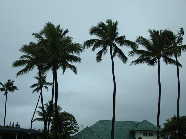 特典航空券で行ったハワイ（２）　雨のカイルア