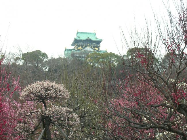 用があって大阪に行くついでに大阪観光。ベイエリアや梅田に万博公園梅まつりなど。<br />