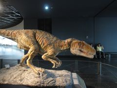 丸岡城から福井恐竜博物館へ