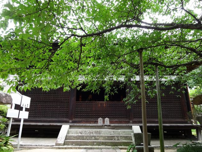 「松山市」にある「大宝寺」は「（伝）７０１年（飛鳥時代）」に「（伝）小千伊予守玉興」によって創建された「本尊」が「阿弥陀如来坐像（国の重要文化財）」の「真言宗豊山派の寺院」です。<br /><br />写真の「本堂」は「愛媛県内最古の木造建築」で「国宝」に指定されています。