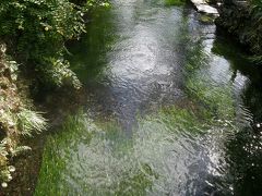 花の伊吹山登山と琵琶湖周辺の旅・・・④醒井宿の梅花藻の花を楽しみ琵琶湖畔へ