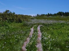 南会津、湯ノ花温泉に泊まって、花の山・田代山、帝釈山へ