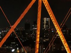 東京タワー 天の川イルミネーション 外階段上ったよ