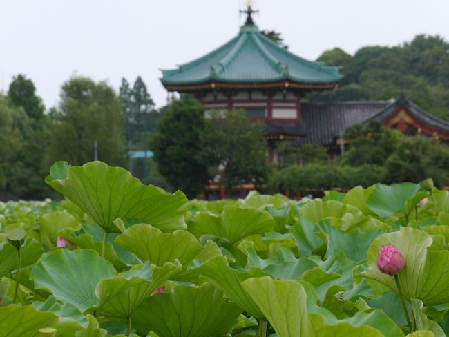 上野恩賜公園、うえの夏まつり、そして上野の老舗